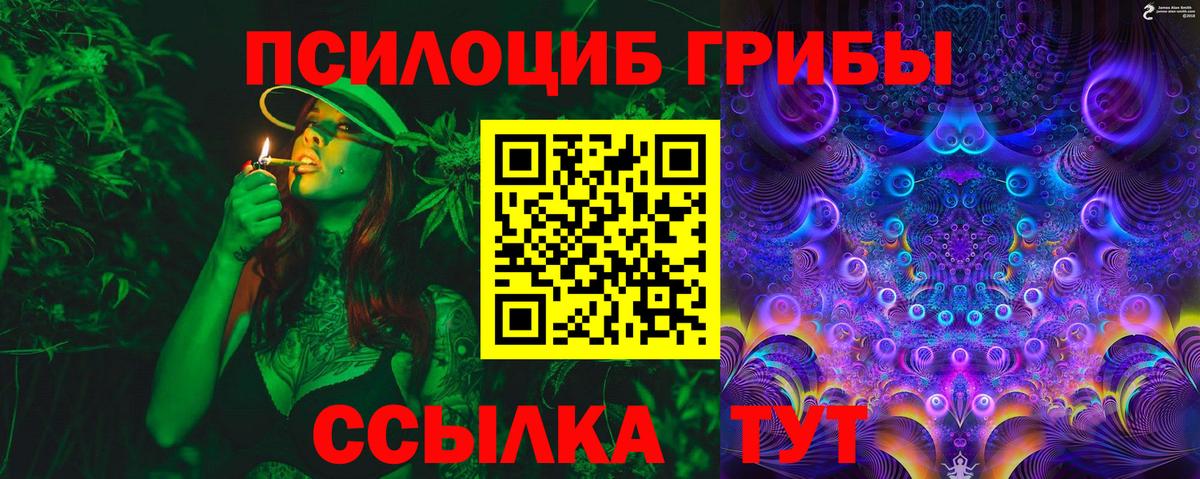 Псилоцибиновые грибы ЛСД  где купить   Мыски  Галлюциногенные грибы MAGIC MUSHROOMS  Вход с VPN 