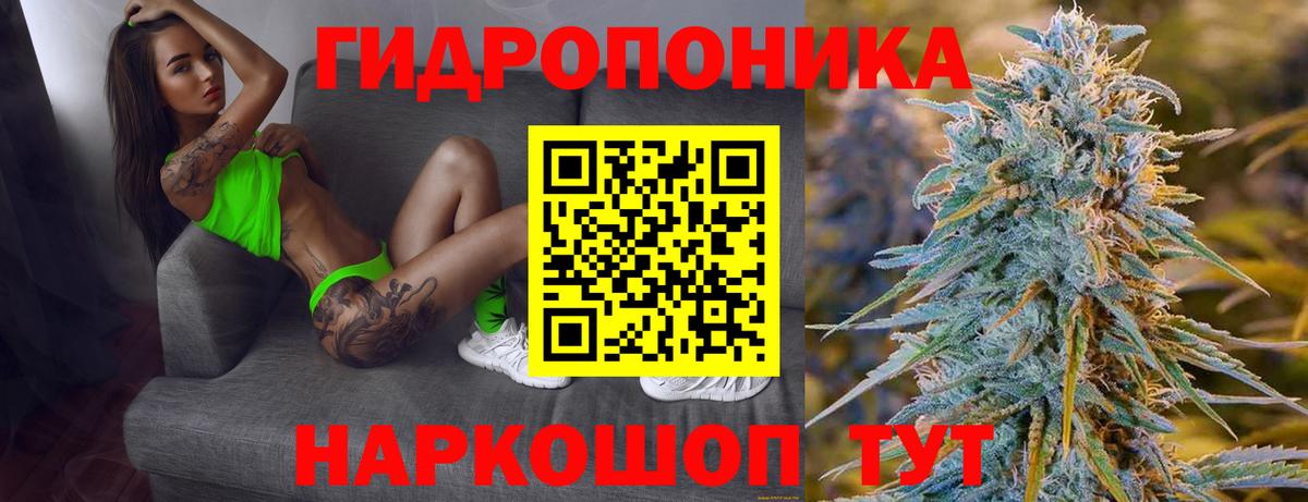 Конопля Bruce Banner Мыски
